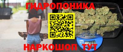 spice Канаш