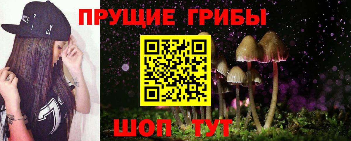 Галлюциногенные грибы мицелий Кузнецк