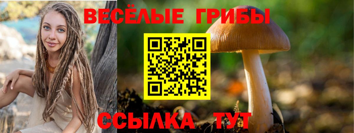 Галлюциногенные грибы Psilocybine cubensis  Вход с VPN  Галлюциногенные грибы GOLDEN TEACHER  Кузнецк 